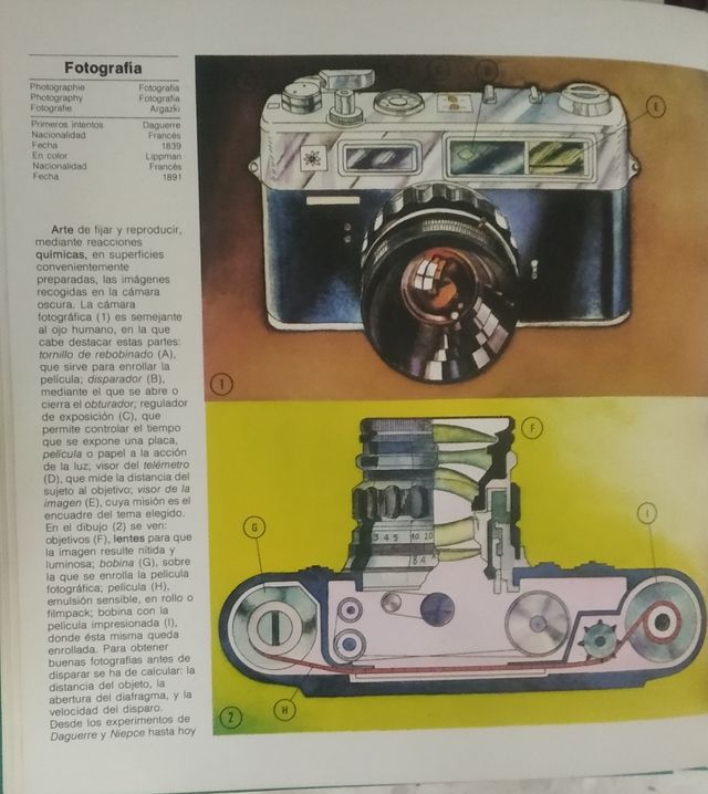 Gran diccionario infantil Marín