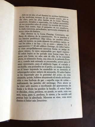 MADRID, COSTA FLEMING. Ángel Palomino.