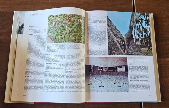 Grande Enciclopedia Medica