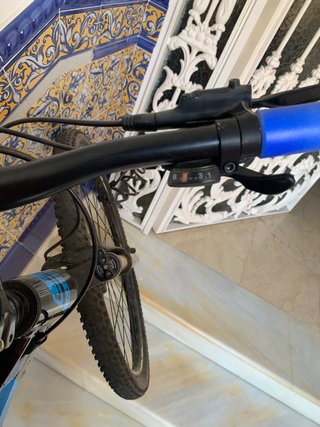 bicicleta wst (29)