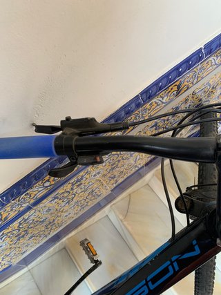 bicicleta wst (29)