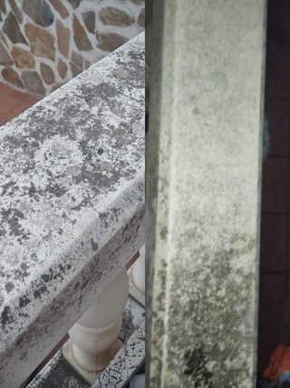 Servicio de limpiezas