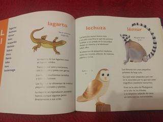Libro "Mi primer diccionario de animales