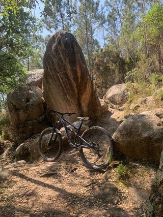Cannondale Habit AL 2020
