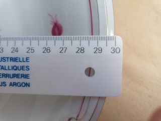 Un plato grande, estilo Meissen, rosenthal