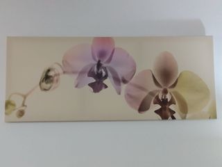 Cuadro Orquidea Ikea