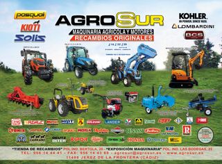 Astilladoras de Gasolina