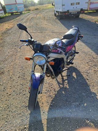 Suzuki Gs500E
