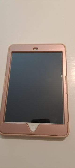 Ipad Mini 16 Gb