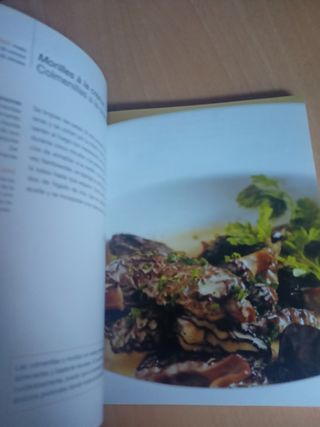 LIBRO "COCINAS DEL MUNDO; FRANCIA", EN ESPAÑOL