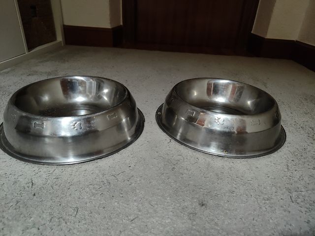 Comedero Perro inox.