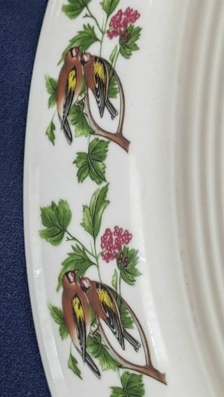 Vajilla PORTMEIRION.