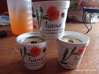 Candele profumate con vasetto in n ceram