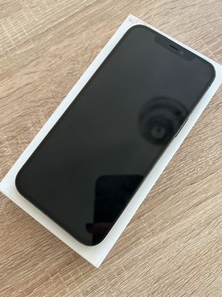 iphone 12 pro max 256 gb