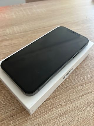 iphone 12 pro max 256 gb