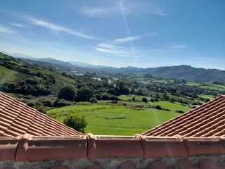 Limpieza de fincas, jardines, mallas metálicas...