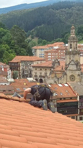 Limpieza de fincas, jardines, mallas metálicas...
