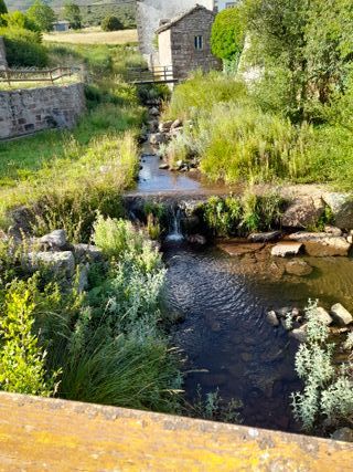 Limpieza de fincas, jardines, mallas metálicas...