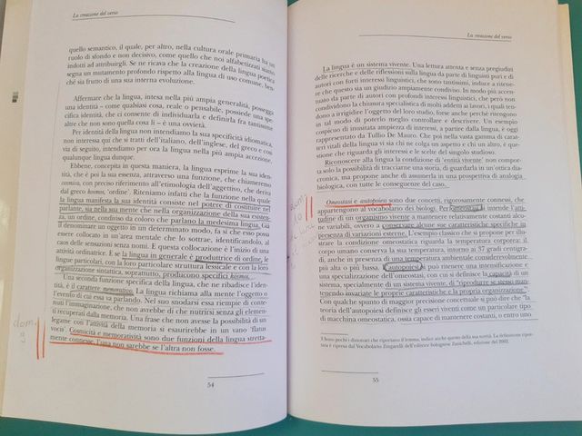 Omero L'educatore orale