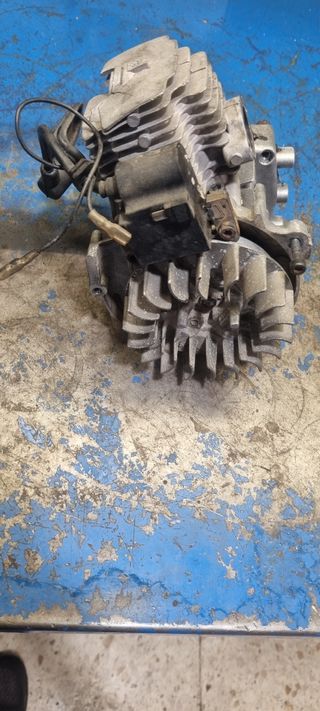 MOTOR MINI MOTO POCKETBIKE