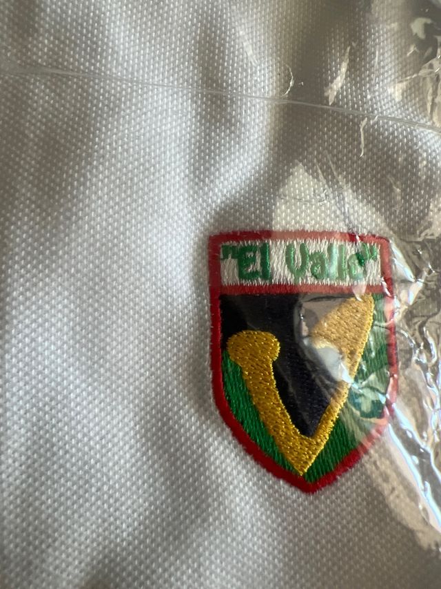 camiseta colegio Valle talle 10 años