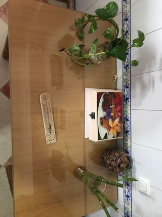mesa de camilla con cristal