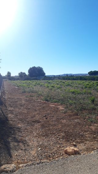 Terreno en alquiler