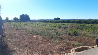 Terreno en alquiler