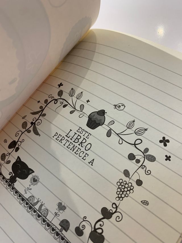 Libro Diario de Coco