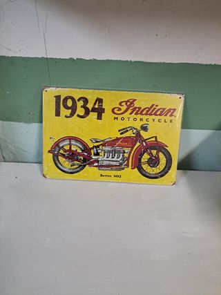 CARTEL INDIAN