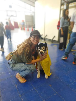 Guarderia de día/noche, Canguro, cuidado mascotas