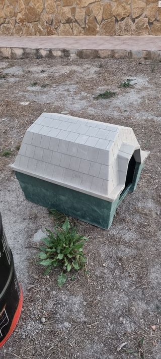 Casa de perro