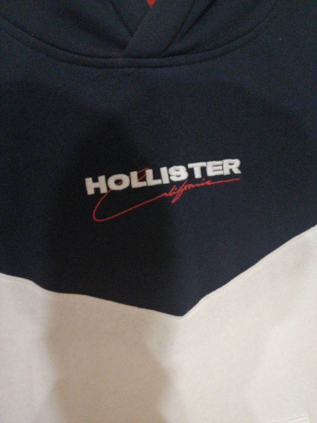 Sudadera Hollister