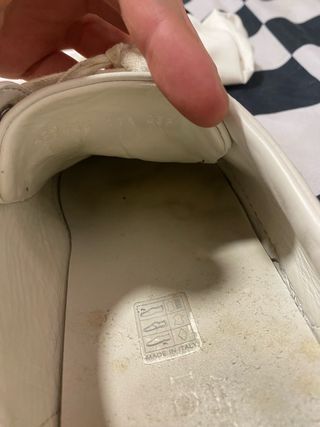 zapatillas gucci