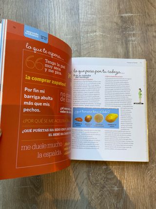 Libro "9 meses con bombo" y "qué piensa tu bebé"