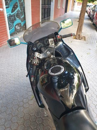 Kawasaki zzr600 ram air