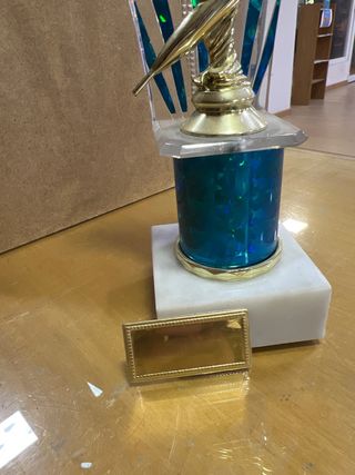 Trofeo de Dardos 26 cm