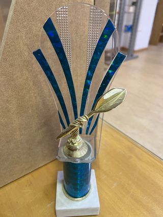 Trofeo de Dardos 30 cm