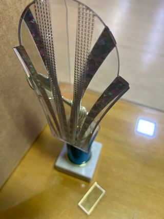 Trofeo de Dardos 30 cm