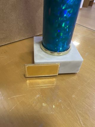 Trofeo de Dardos 30 cm