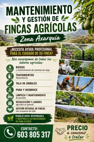 Manitas a domicilio
