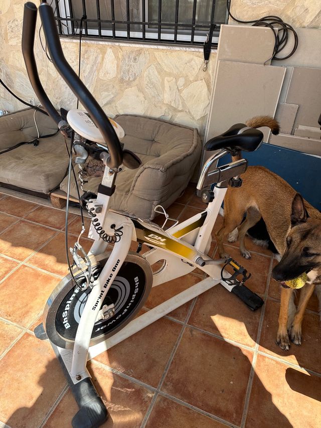 bicicleta BH fitness spinning indoor