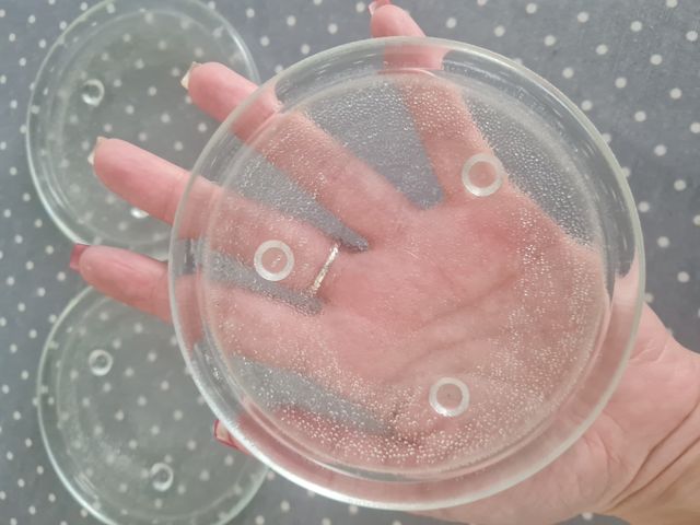 Platos cristal velas