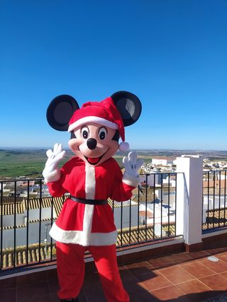 Alquiler Minnie 