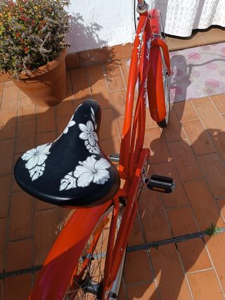 Bicicleta electra