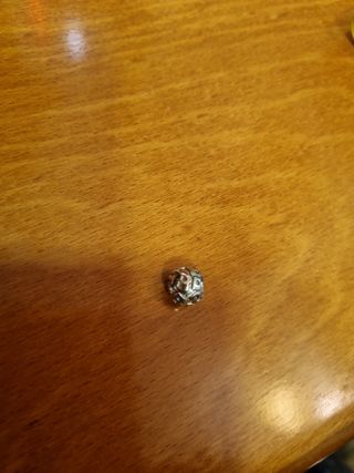 Charm "B,b,B,b..."PANDORA