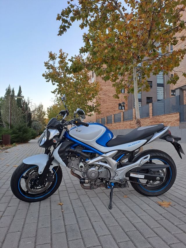 Suzuki Gladius
