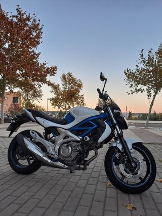 Suzuki Gladius