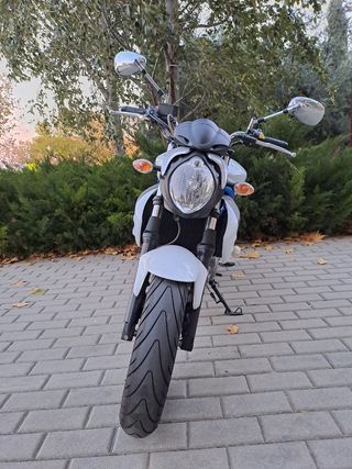 Suzuki Gladius