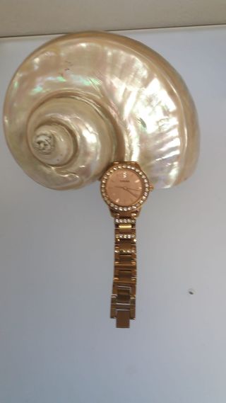 Orologio Donna Fossil Gold ORIGINALE